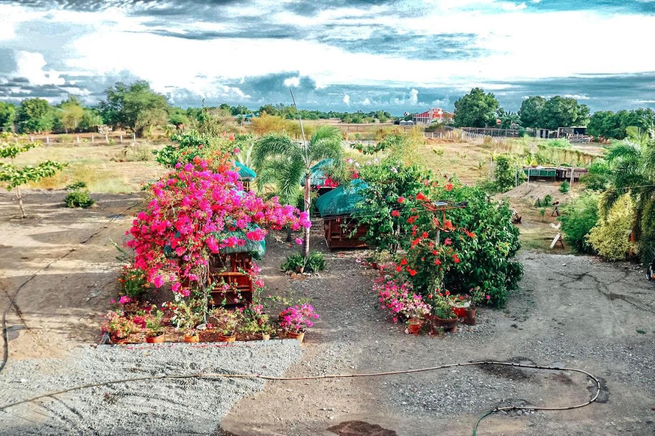 Airport View Hotel Vigan Bagian luar foto