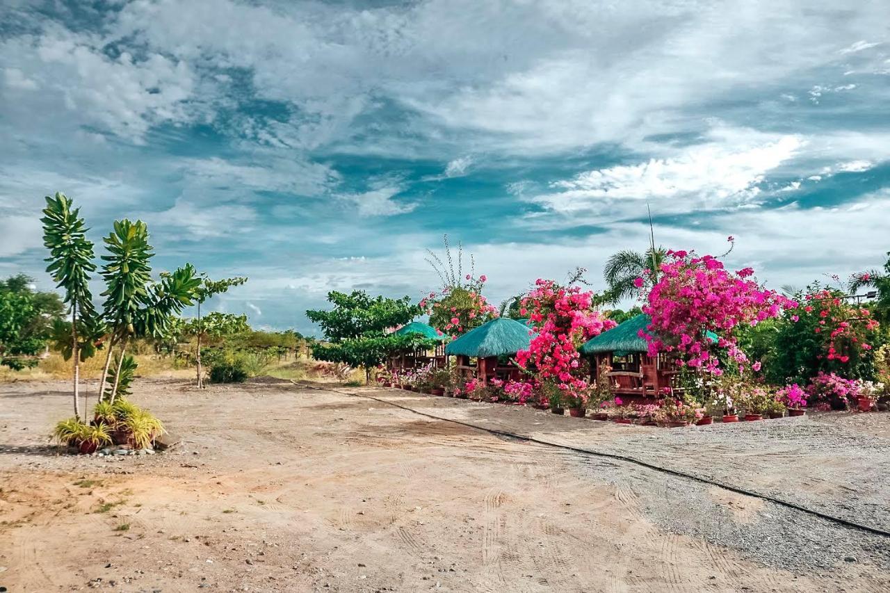 Airport View Hotel Vigan Bagian luar foto