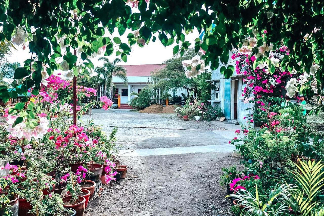 Airport View Hotel Vigan Bagian luar foto