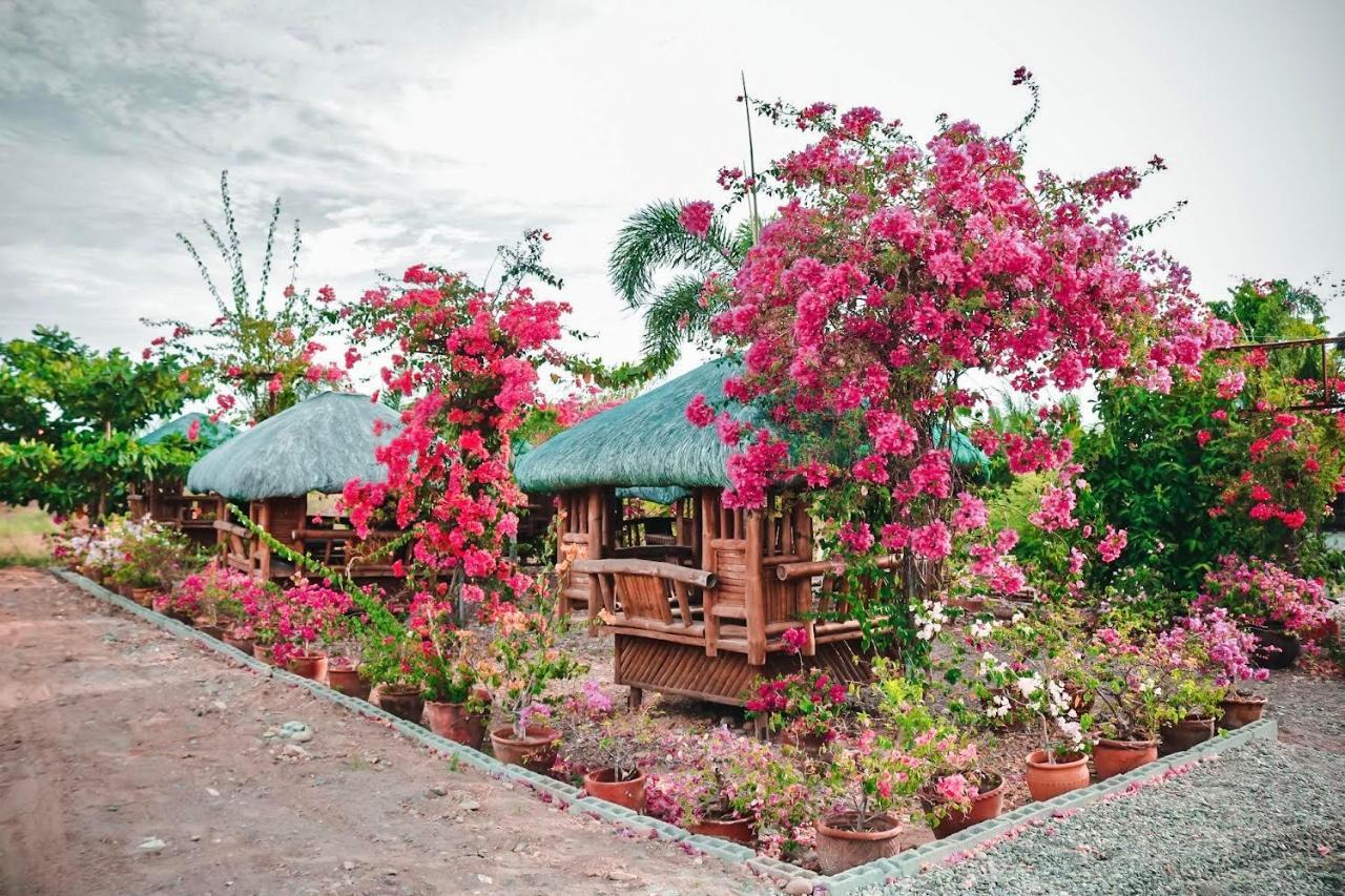Airport View Hotel Vigan Bagian luar foto