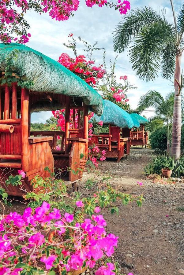 Airport View Hotel Vigan Bagian luar foto